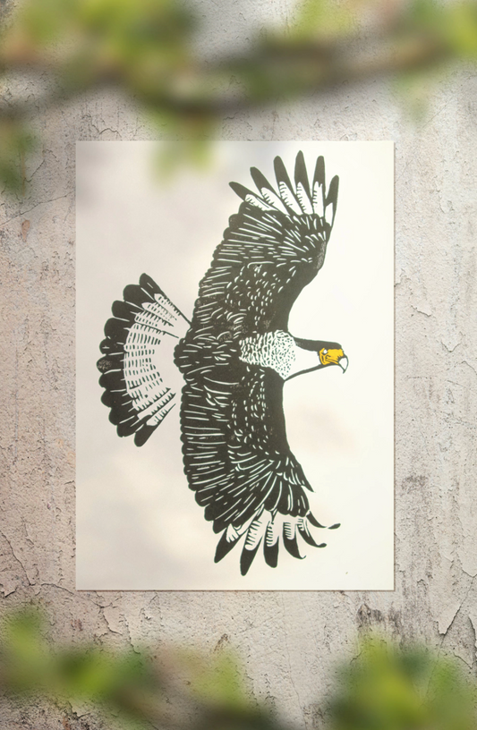 Carcará - Xilogravure