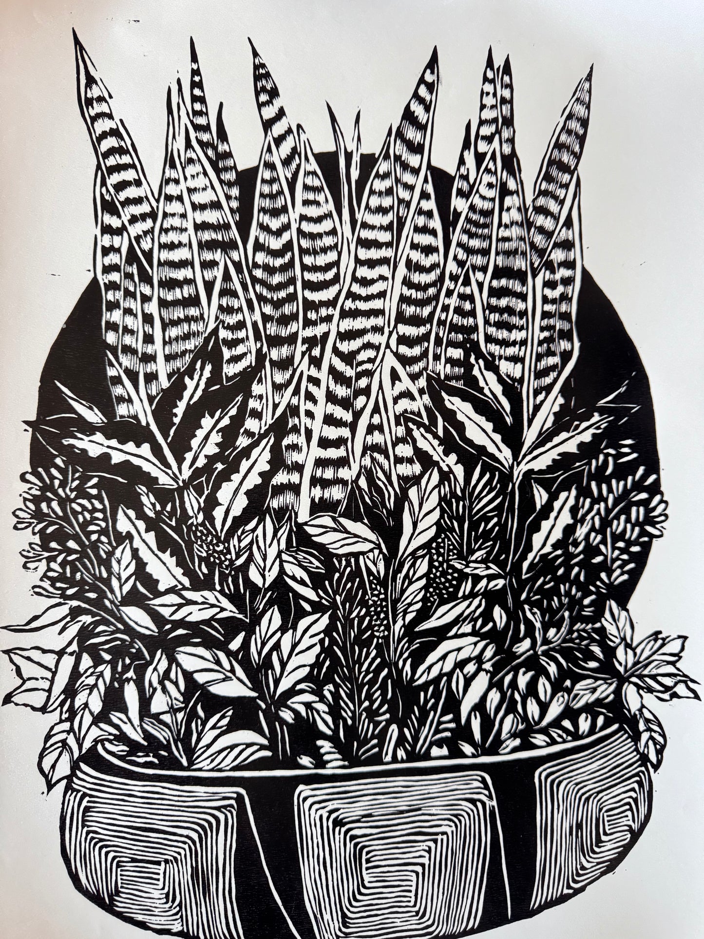 7 Ervas - Xilogravure / SOLD OUT