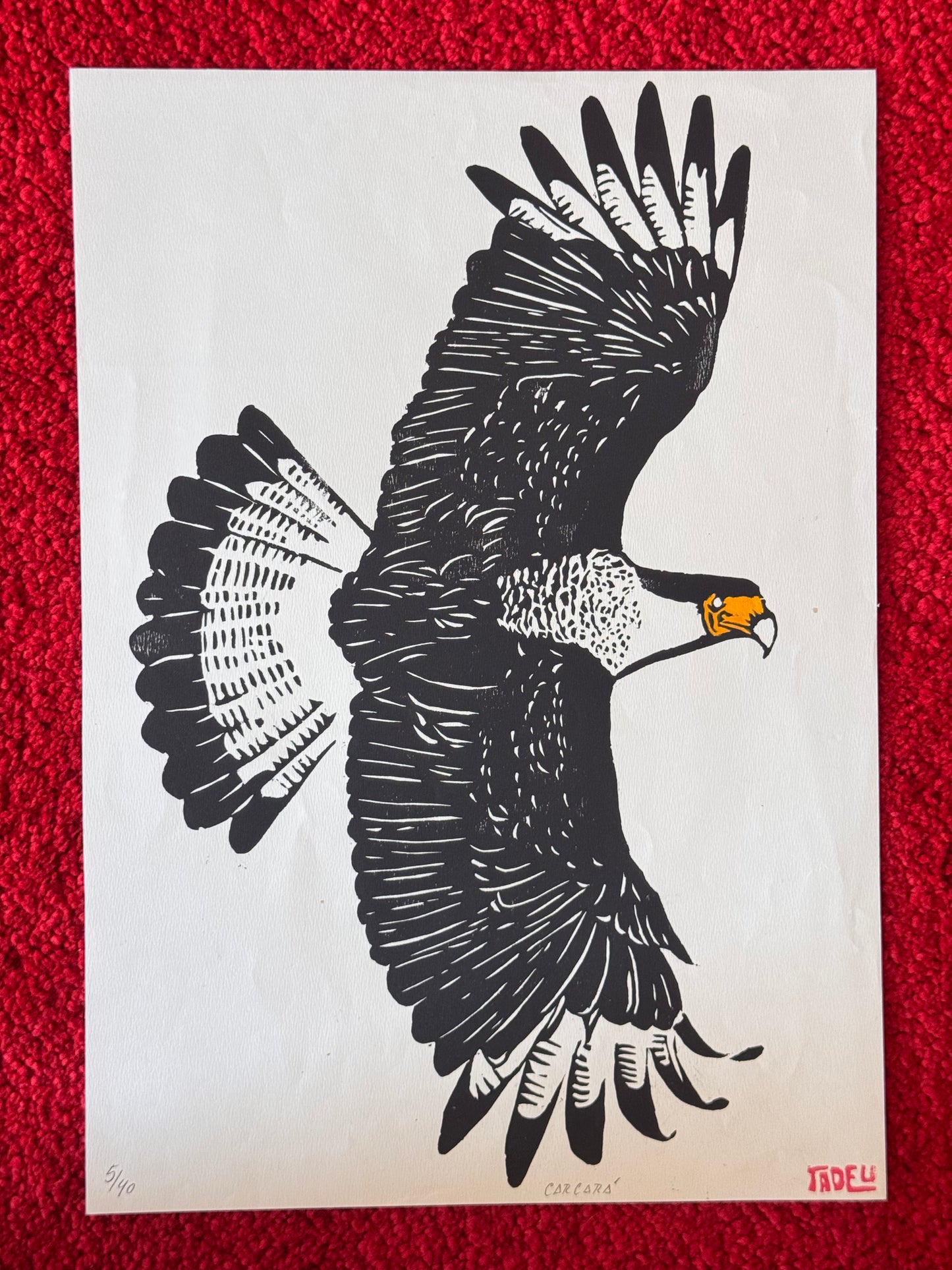 Carcará - Xilogravure